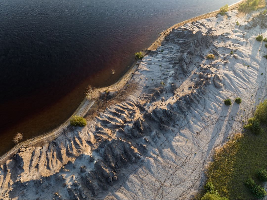 LPNaturfilm Lennert Piltz, Auf den kargen Sandfl&auml;chen und Sch&uuml;tthalden, die der Braunkohletagebau zur&uuml;ckl&auml;sst, siedeln sich nach und nach wieder Pflanzen an.
