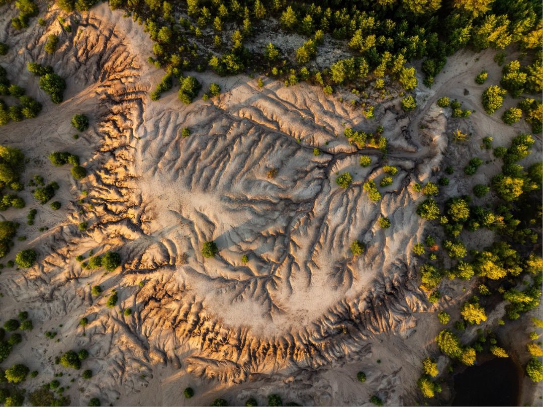 LPNaturfilm Lennert Piltz, Auf den kargen Sandfl&auml;chen und Sch&uuml;tthalden, die der Braunkohletagebau zur&uuml;ckl&auml;sst, siedeln sich nach und nach wieder Pflanzen an.