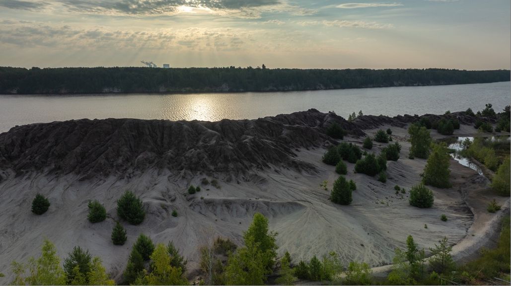 LPNaturfilm Lennert Piltz, Auf den kargen Sandfl&auml;chen und Sch&uuml;tthalden, die der Braunkohletagebau zur&uuml;ckl&auml;sst, siedeln sich nach und nach wieder Pflanzen an.